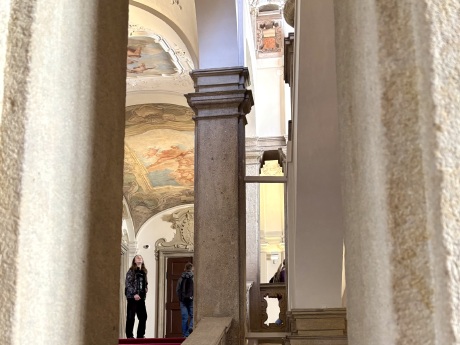 Obrázek v galerii