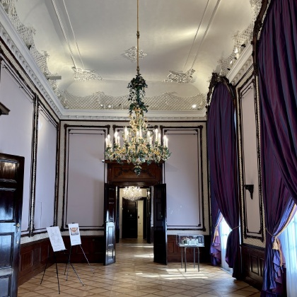 Obrázek v galerii