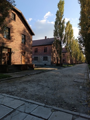 Obrázek v galerii