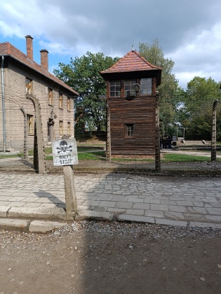 Obrázek v galerii