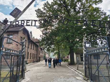 Obrázek v galerii