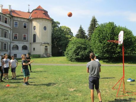 Obrázek v galerii