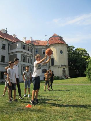 Obrázek v galerii