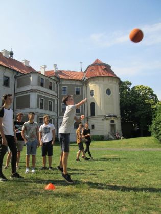 Obrázek v galerii