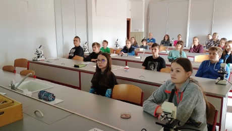 Obrázek v galerii