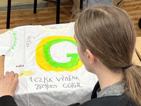 Obrázek v galerii